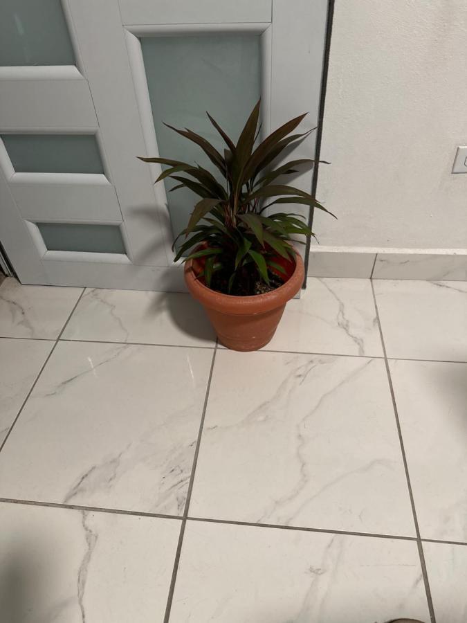 Second Floor 2Br Apt In The Center Of Santurce Apartamento San Juan Exterior foto